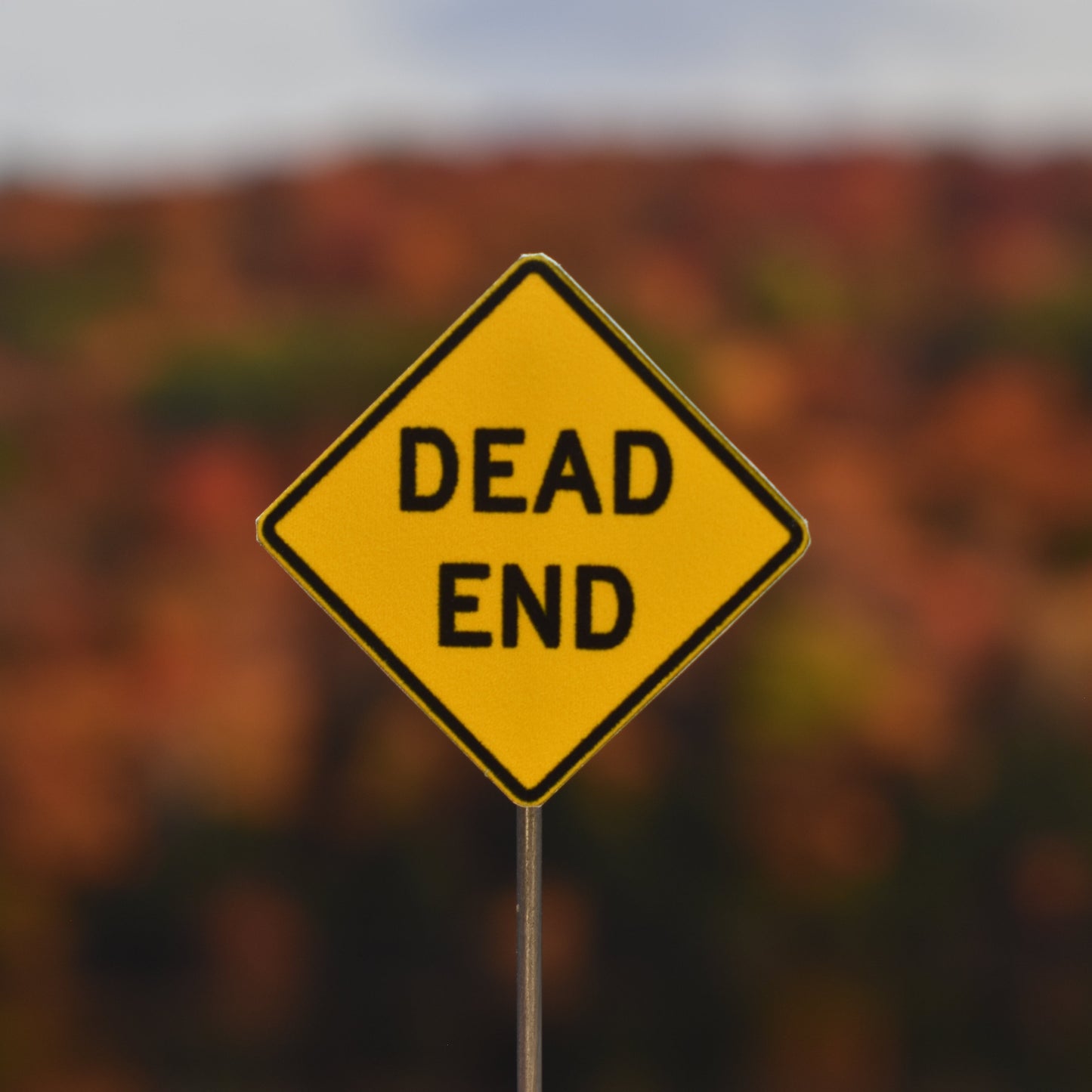 N Scale - No Outlet OR Dead End Signs - 2 Pack