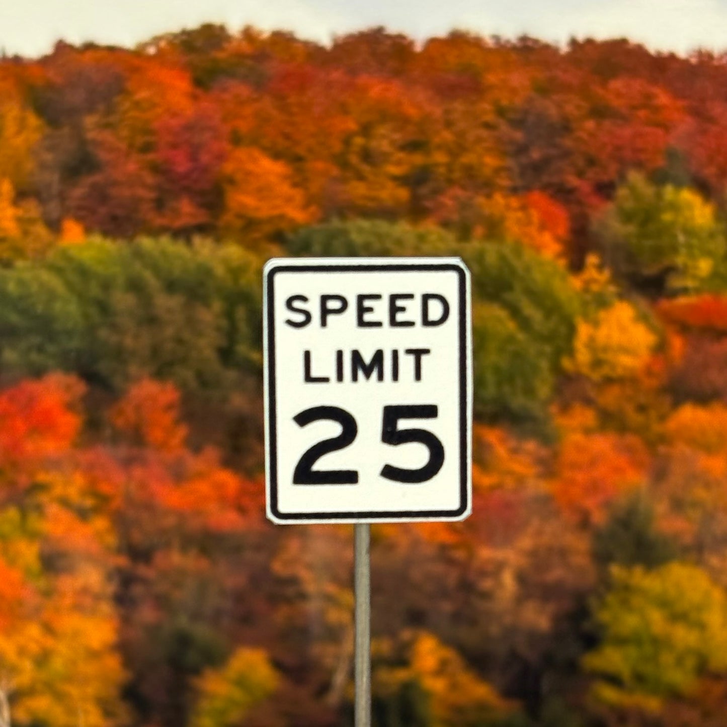 HO Scale - Speed Limit - Choose MPH - 2 Pack