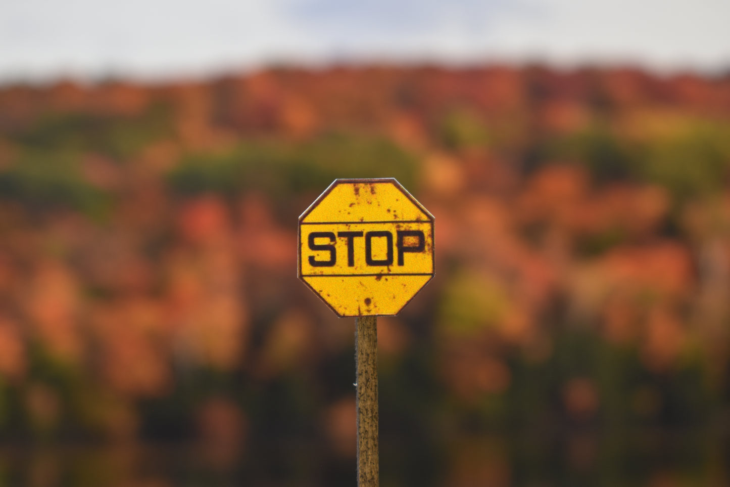 HO Scale - Yellow Stop Sign - Horizontal Line - 2 Pack