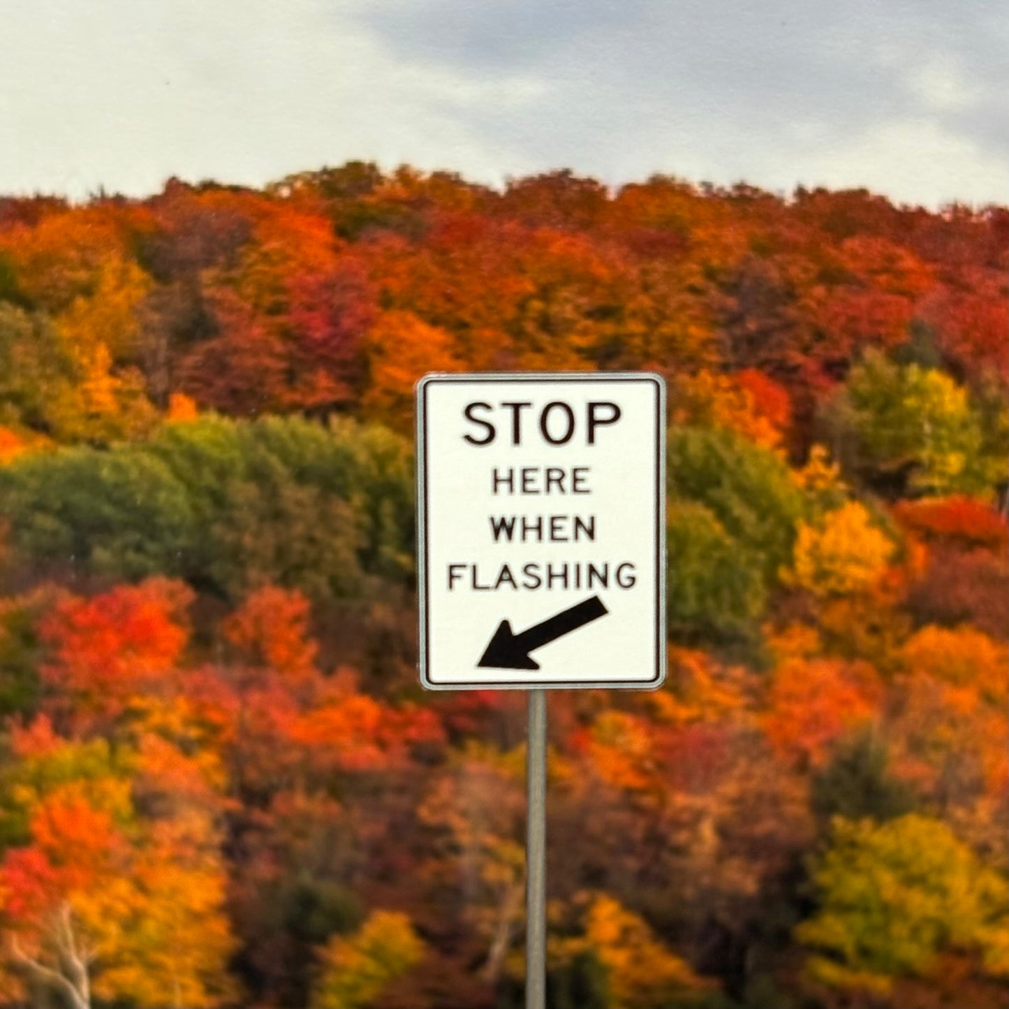 HO Scale - Stop Here When Flashing - 2 Pack