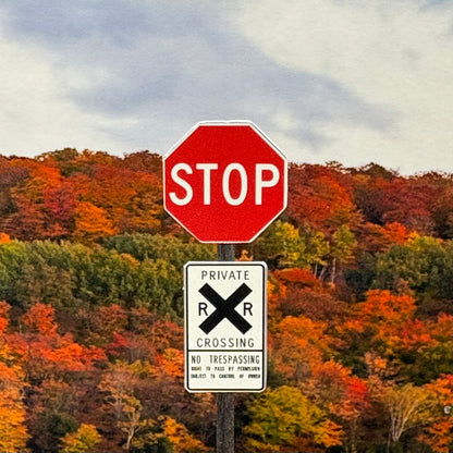 N Scale - Private RR Crossing w/ STOP- 2 Pack