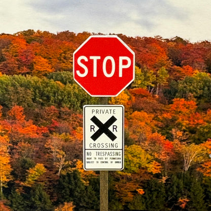 N Scale - Private RR Crossing w/ STOP- 2 Pack