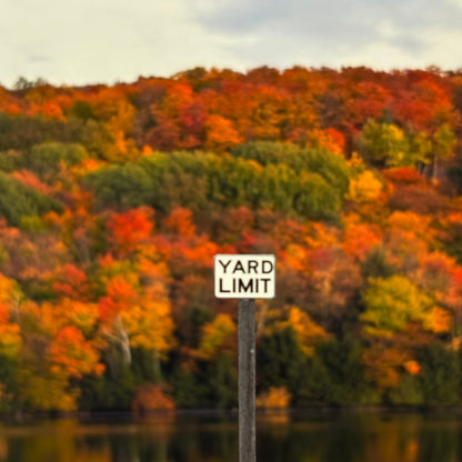 N Scale - Yard Limit - 2 Pack