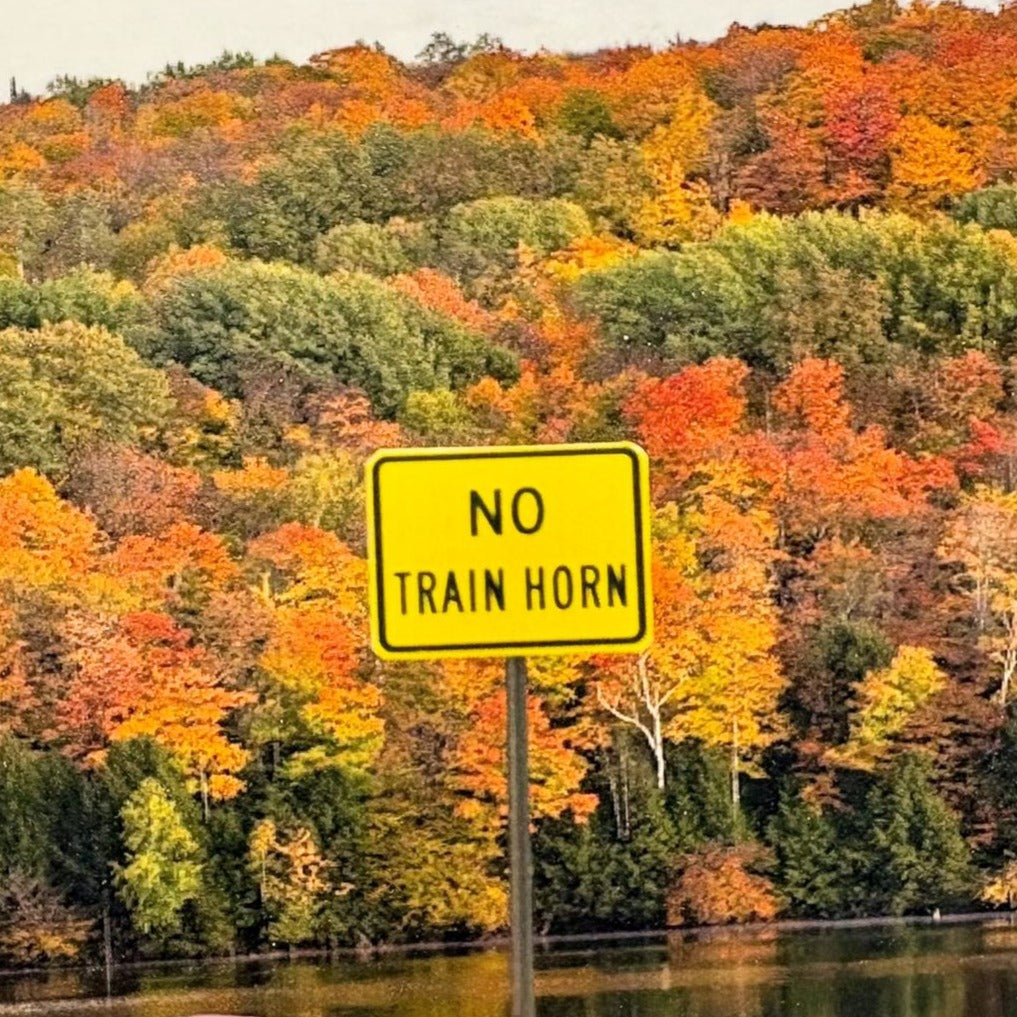 N Scale - No Train Horn Sign - 2 or 4 pack